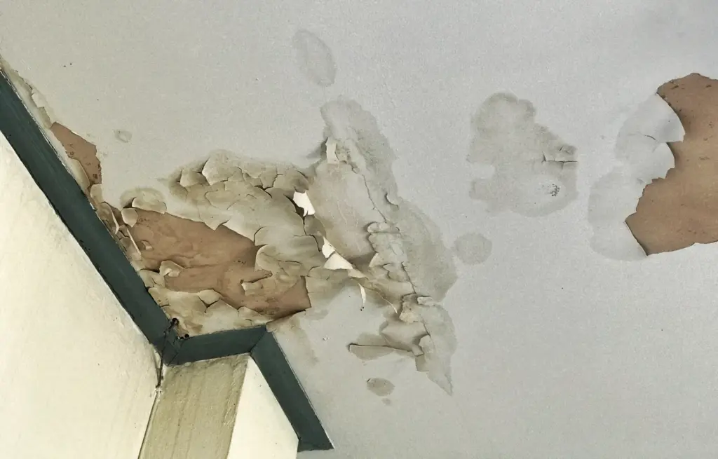 water damage roof

